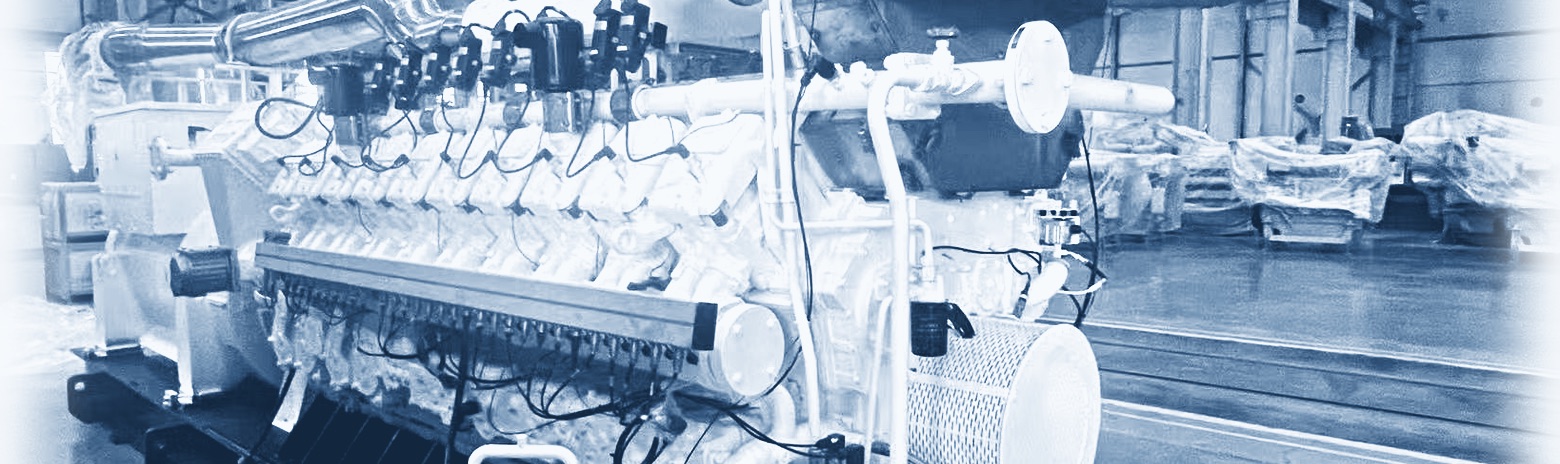 Natural gas engine generator set in a factory